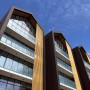 Nut Tree (6)