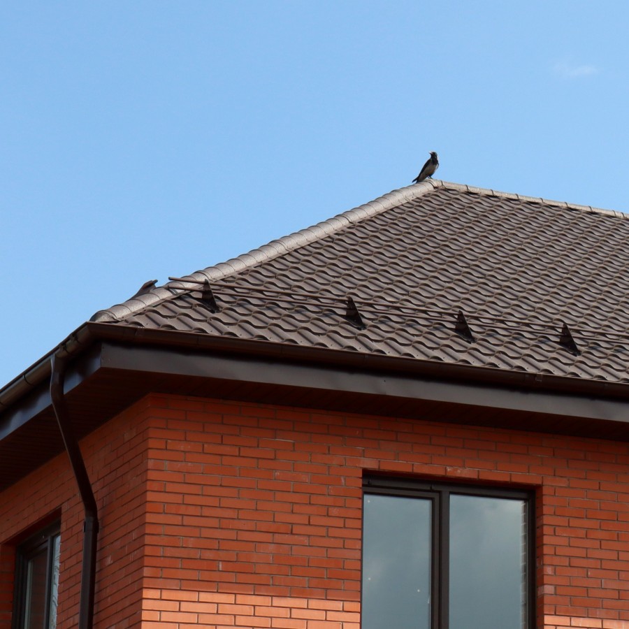 IMG_2210_1