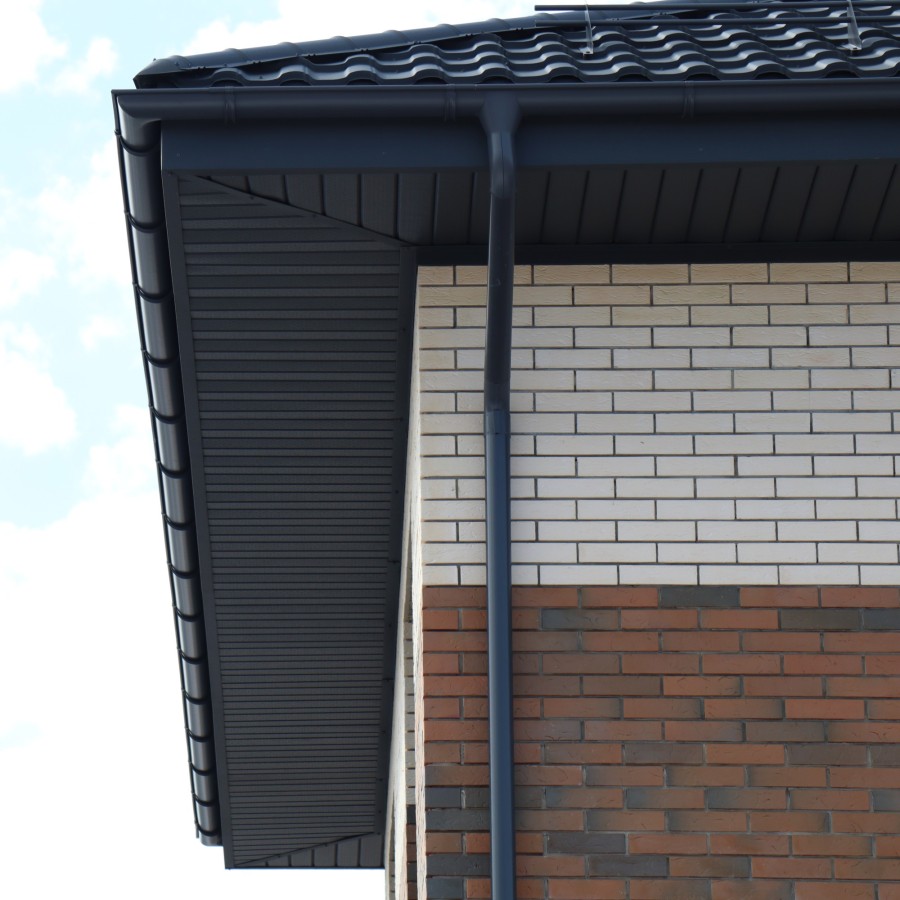 IMG_0010_1